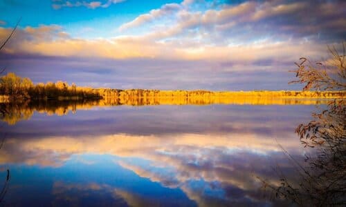 Парк Кременчуцькі плавні