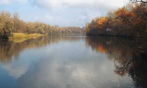 Кременчуцькі плавні
