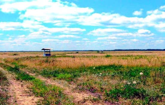Село Липове