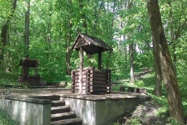 Урочище «Зелений гай»